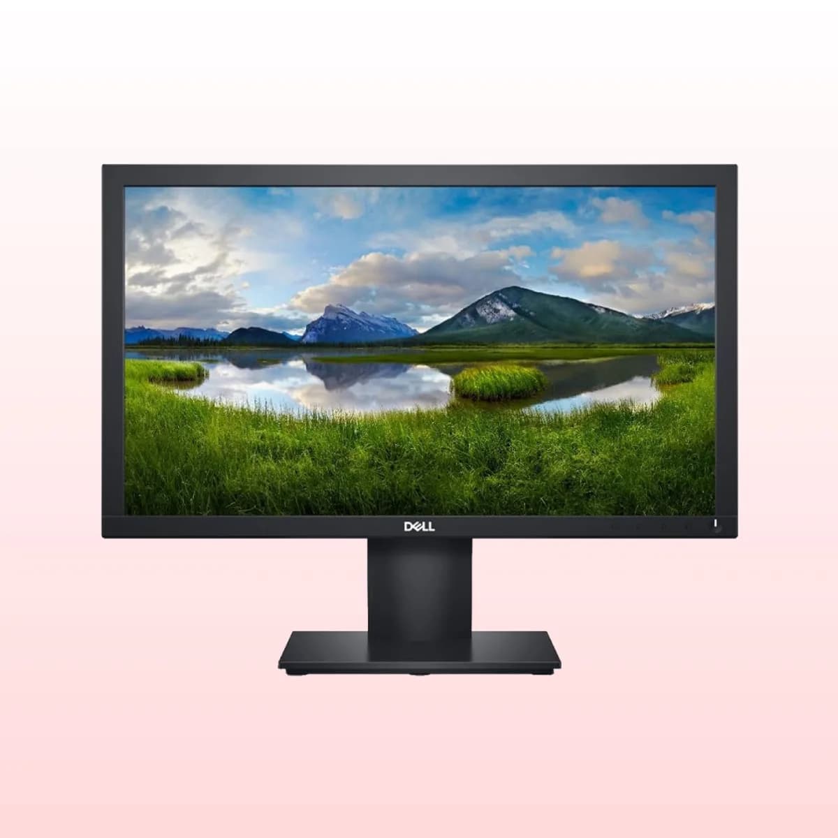 Dell E2020H TFT